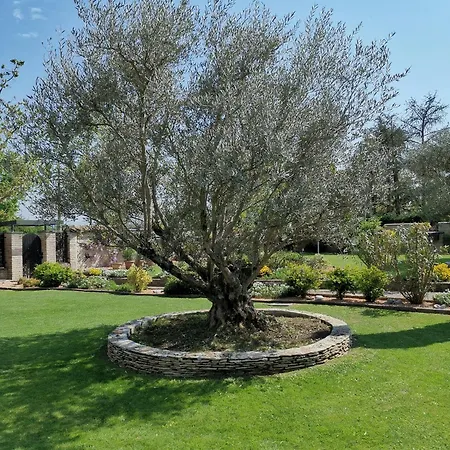 B&B Argiolas