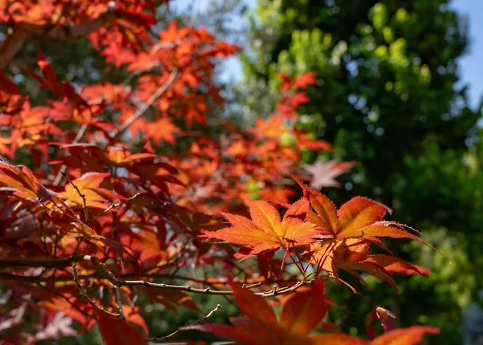 Argiolas Bed & Breakfast