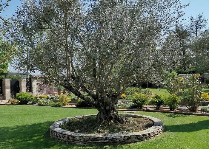 Bed & Breakfast Argiolas